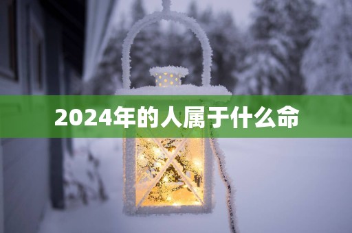 2025年的人属于什么命