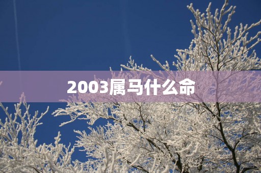 2003属马什么命