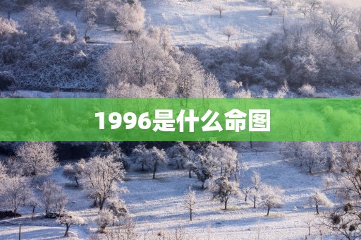 1996是什么命图