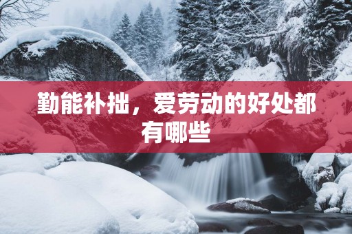 勤能补拙，爱劳动的好处都有哪些