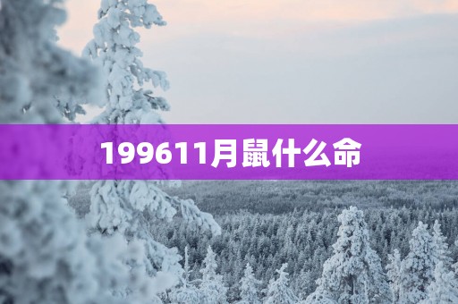 199611月鼠什么命