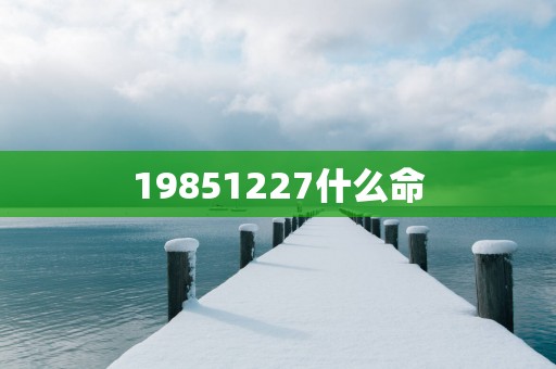 19851227什么命