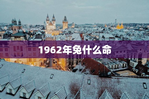 1962年兔什么命