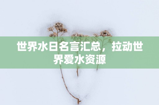 世界水日名言汇总，拉动世界爱水资源