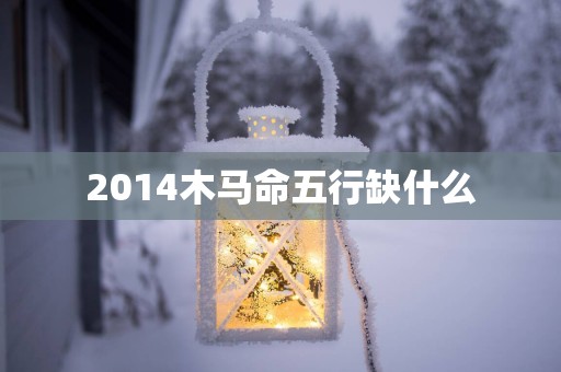 2014木马命五行缺什么