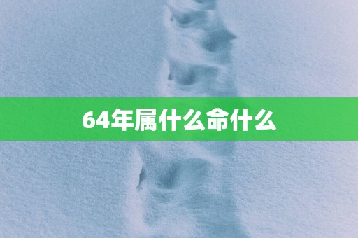 64年属什么命什么