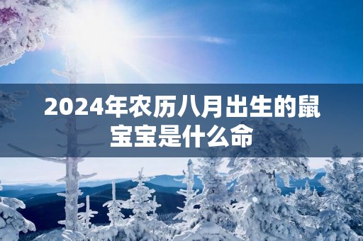 2025年农历八月出生的鼠宝宝是什么命