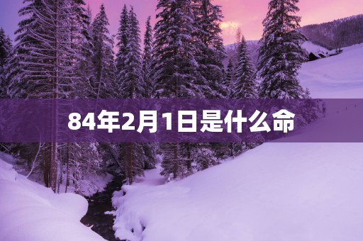 84年2月1日是什么命