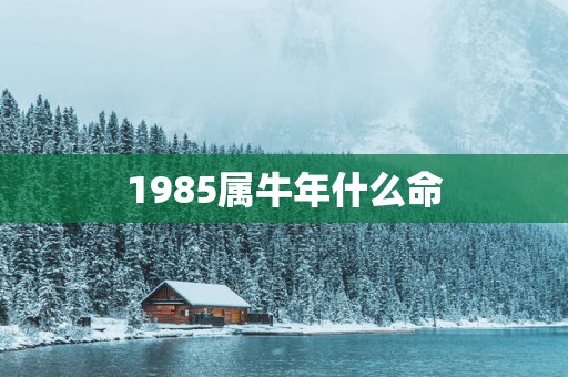 1985属蛇年什么命