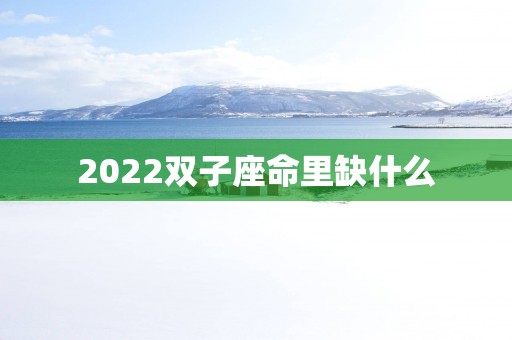 2025双子座命里缺什么