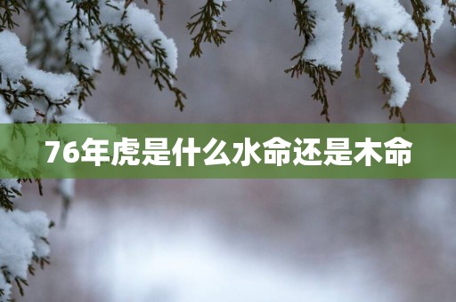 76年虎是什么水命还是木命