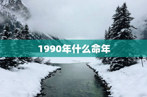 1990年什么命年