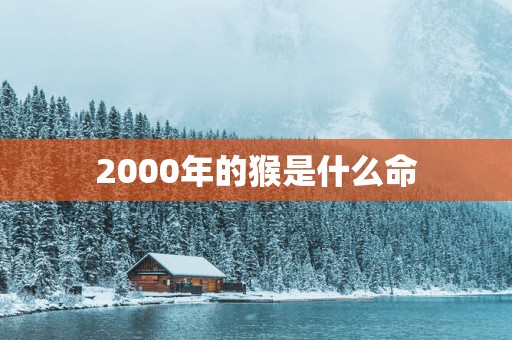 2000年的猴是什么命