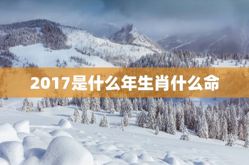 2017是什么年生肖什么命