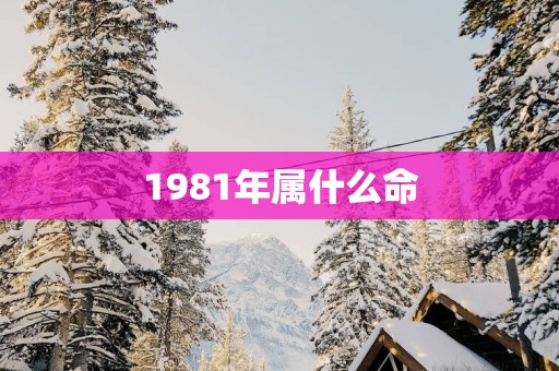 1981年属什么命
