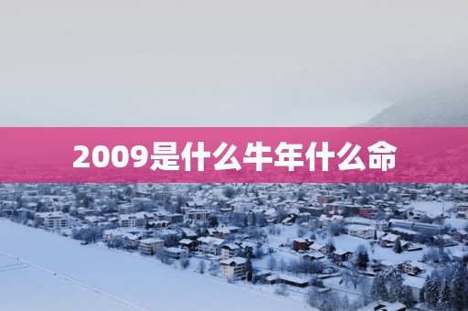 2009是什么蛇年什么命