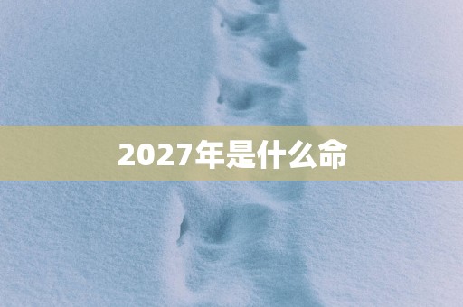 2027年是什么命