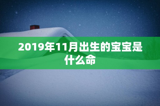 2019年11月出生的宝宝是什么命