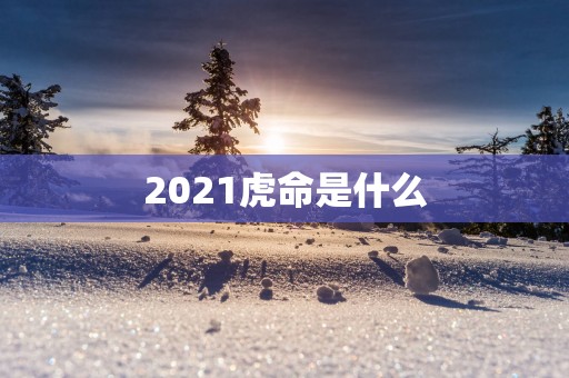 2025虎命是什么