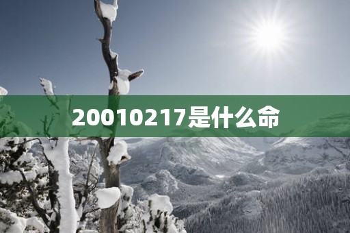20010217是什么命