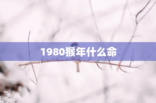 1980猴年什么命