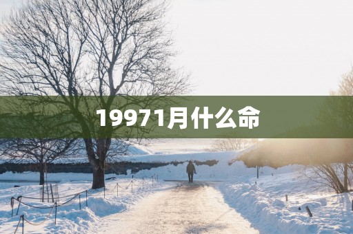 19971月什么命
