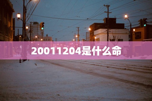 20011204是什么命