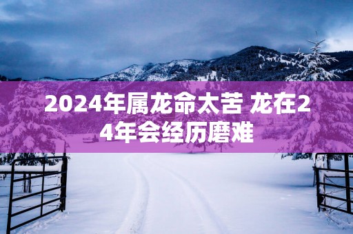 2025年属龙命太苦 龙在24年会经历磨难