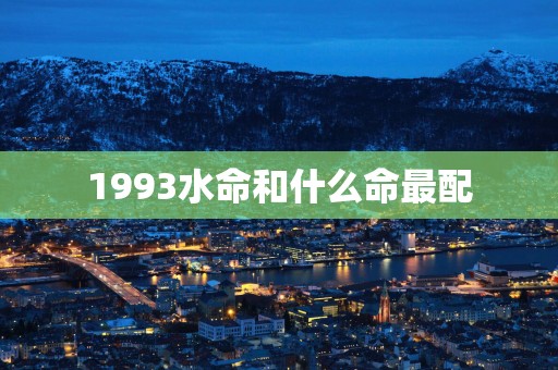1993水命和什么命最配