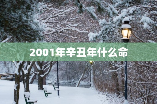 2001年辛丑年什么命