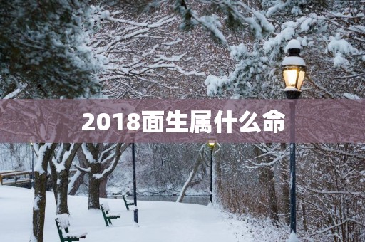 2018面生属什么命