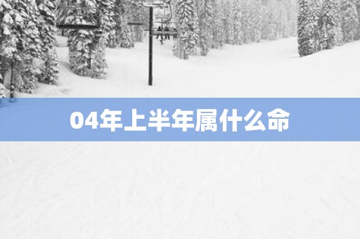 04年上半年属什么命