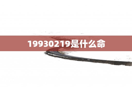 19930219是什么命