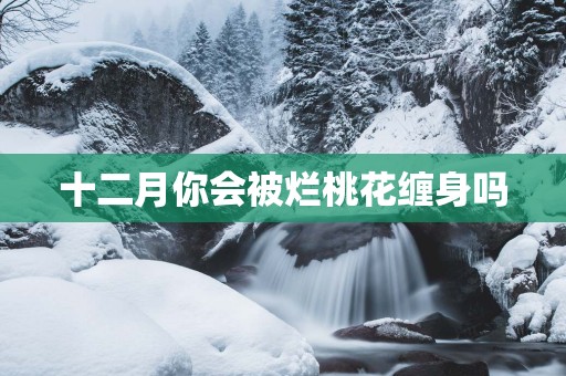 十二月你会被烂桃花缠身吗