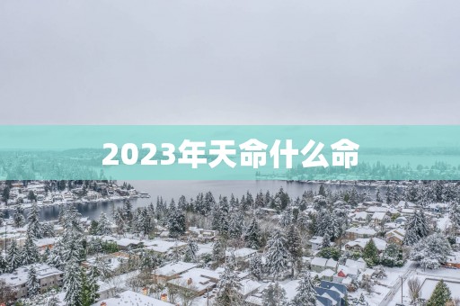 2025年天命什么命