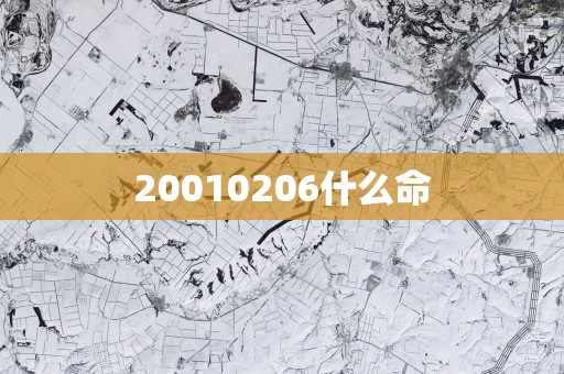 20010206什么命