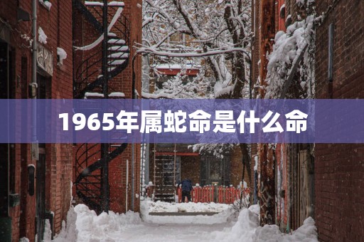 1965年属蛇命是什么命