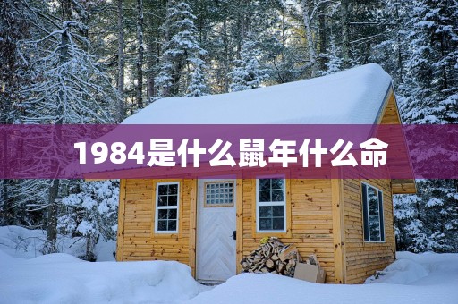 1984是什么蛇年什么命