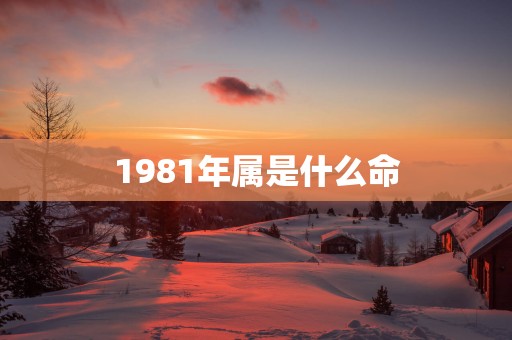 1981年属是什么命