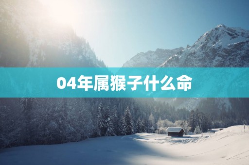 04年属猴子什么命