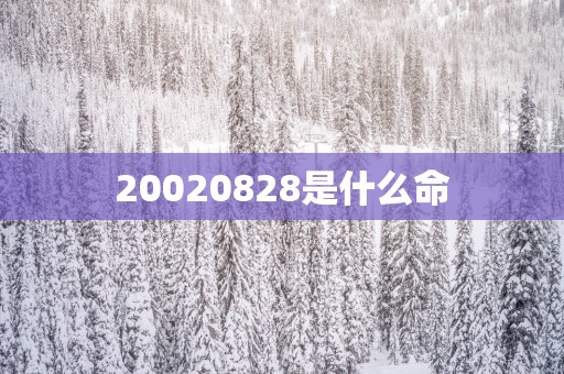 20020828是什么命