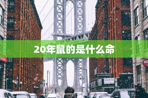 20年鼠的是什么命