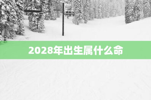 2028年出生属什么命