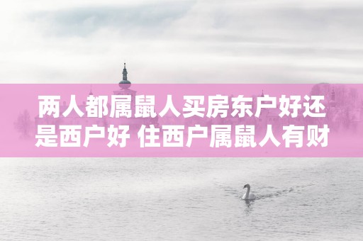 两人都属鼠人买房东户好还是西户好 住西户属鼠人有财运