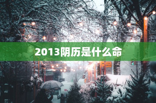 2013阴历是什么命