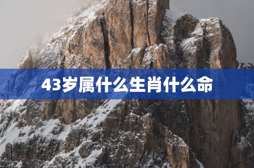 43岁属什么生肖什么命