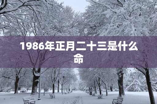 1986年正月二十三是什么命