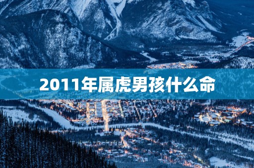 2011年属虎男孩什么命