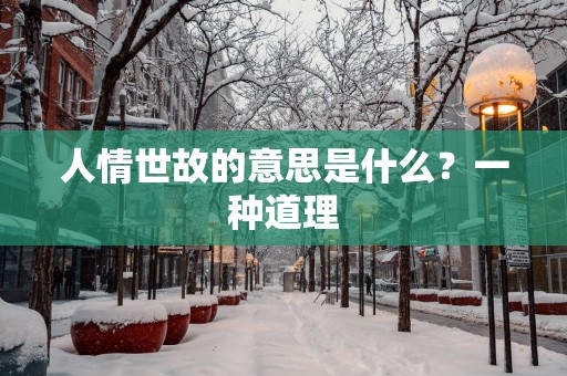 人情世故的意思是什么？一种道理