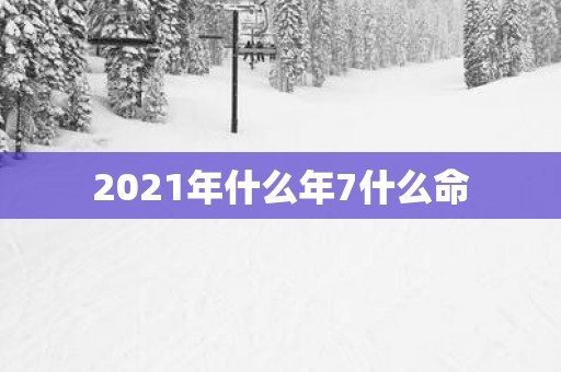 2025年什么年7什么命